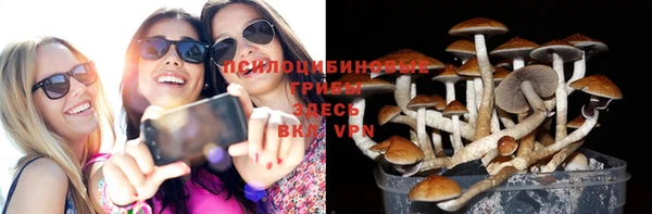 экстази Бородино