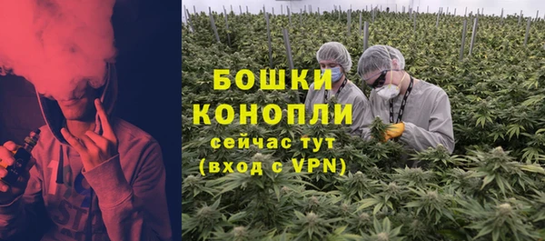 экстази Бородино