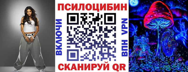 ссылка на мегу как войти  наркота  Балей  Псилоцибиновые грибы мицелий 